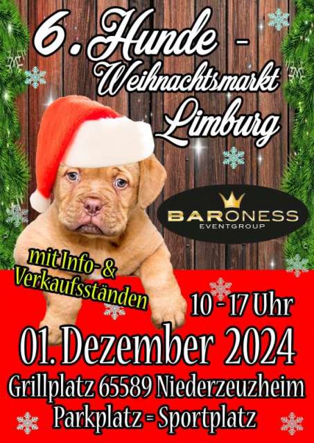 6. Limburger Hundeweihnachtsmarkt