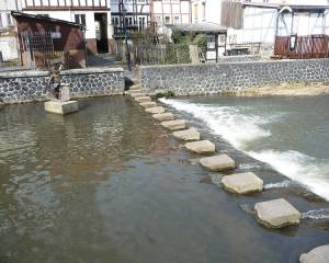 Lauterbacher Strolch