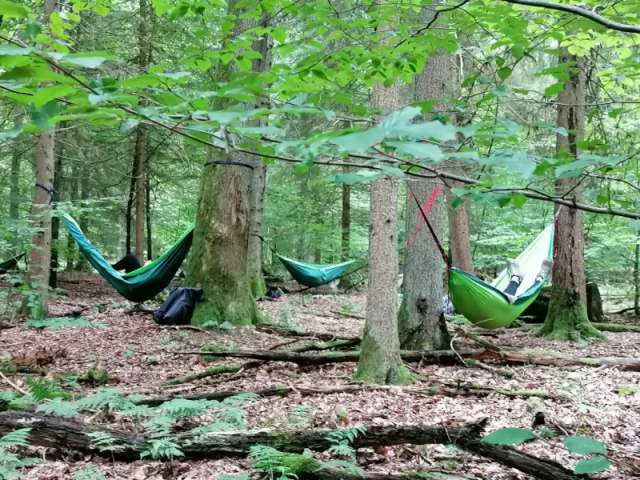 Indian Summer im Vogelsberger Wald  